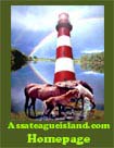 Assateague  Island Home Page Link