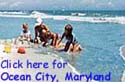 Click here for Ocean City